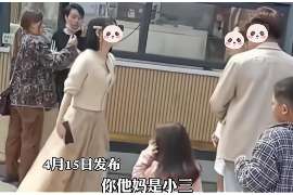 乾县侦探公司我成了别人眼中的大龄剩女